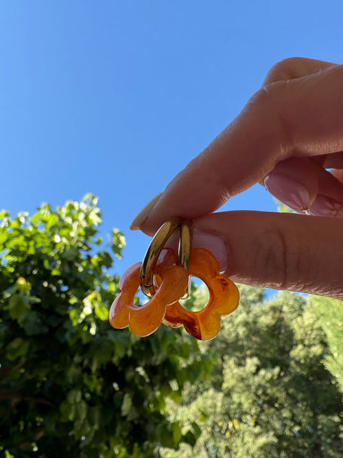 Fleurs de soleil